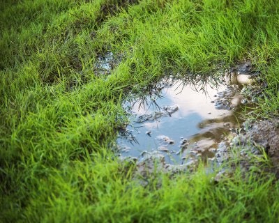 Blog Thumbnail